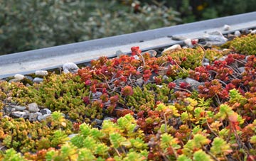 the cost of Court Orchard green roof installation