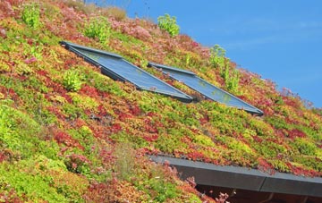 Court Orchard living roof systems