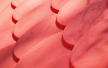 Court Orchard plastic roof costs