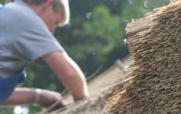 professional Court Orchard thatchers