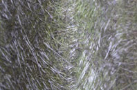 Court Orchard fibreglass roof work